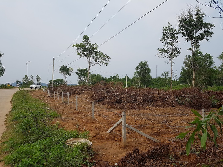 Nhiều diện tích đất nông nghiệp trên đảo Phú Quốc được chia nhỏ để phân lô chuyển nhượngẢnh: Nhật Huy 