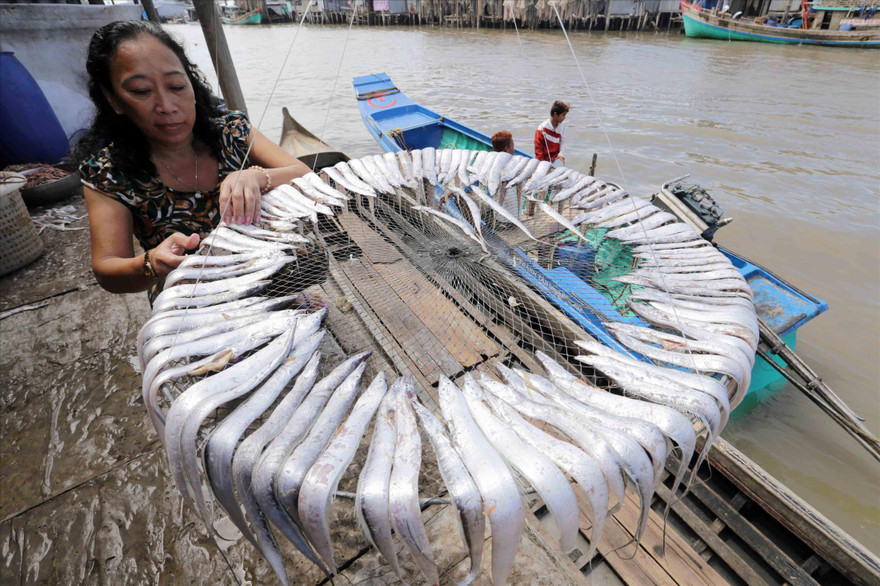 Nhiều người dân đã vay vốn ưu đãi để phát triển làng nghề truyền thống