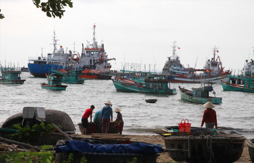 Tàu cá tại Phú Quốc (Kiên Giang). Ảnh: CK