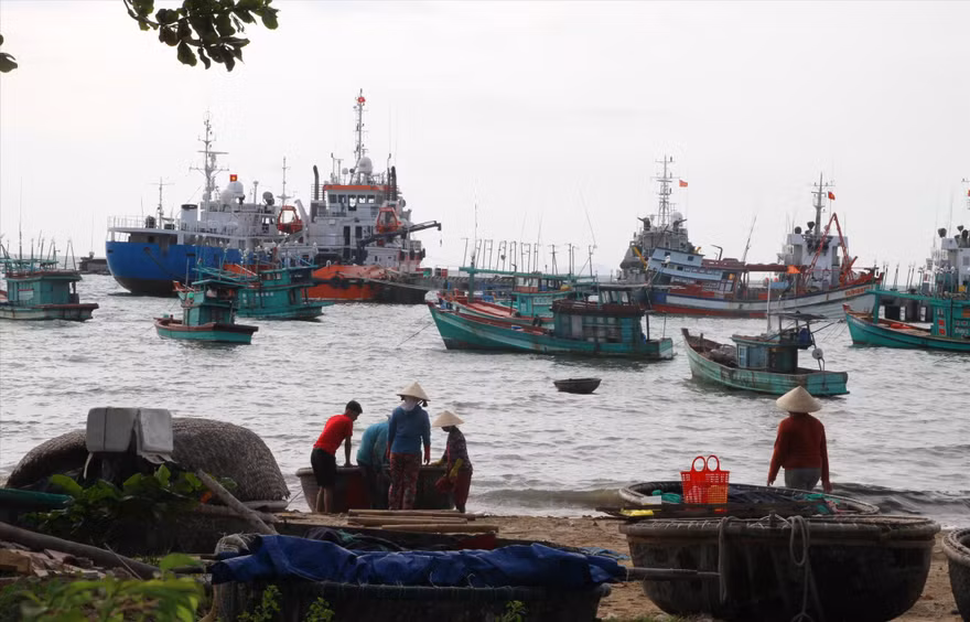 Tàu cá tại Phú Quốc (Kiên Giang). Ảnh: CK