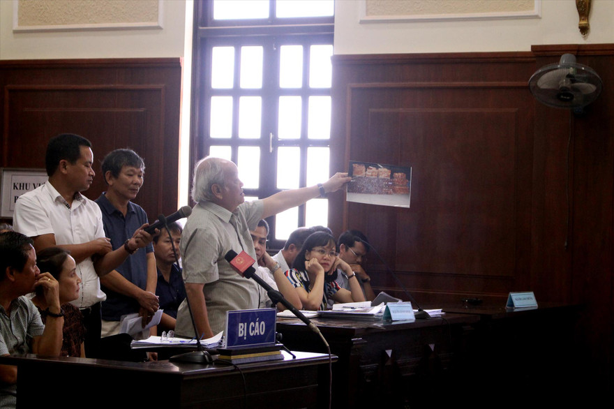 Ðại diện Viện ST&TNSV công bố các mẫu ảnh về lô gỗ giám định và khẳng định có thể phân biệt bằng mắt thường gỗ trắc và gỗ giáng hương. Ảnh: Giang Thanh