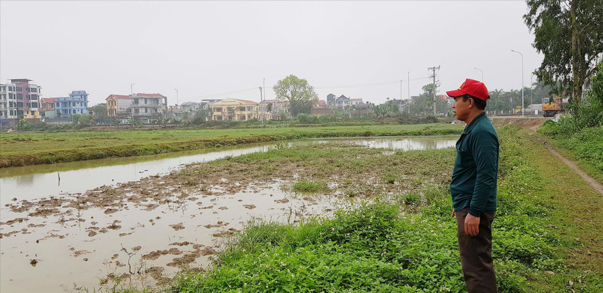 Ðất nông nghiệp bị thu hồi vài năm qua vẫn để hoang. Ảnh: P.V