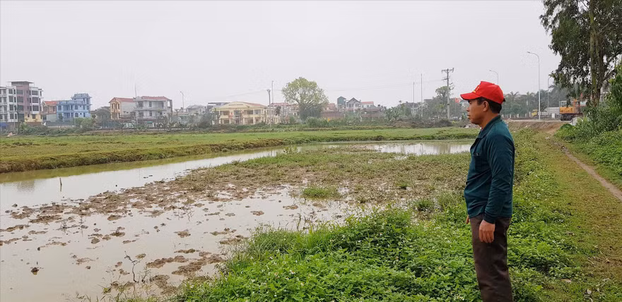 Ðất nông nghiệp bị thu hồi vài năm qua vẫn để hoang. Ảnh: P.V