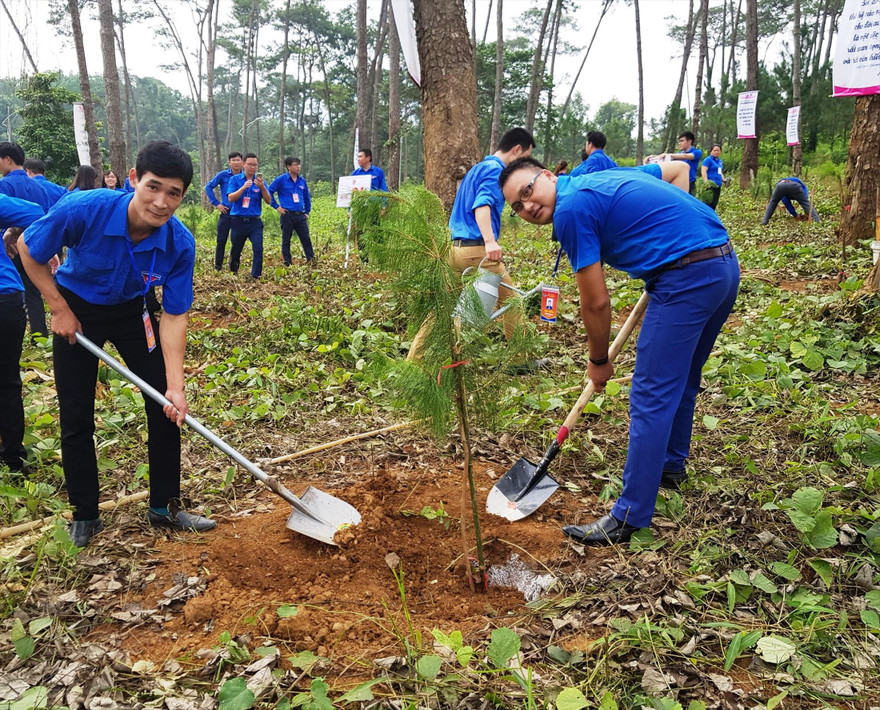 Anh Vi Văn Mạnh (bên trái) trồng cây tại khu Di tích Ðá chông K9, Ba Vì, Hà Nội. Ảnh: NVCC