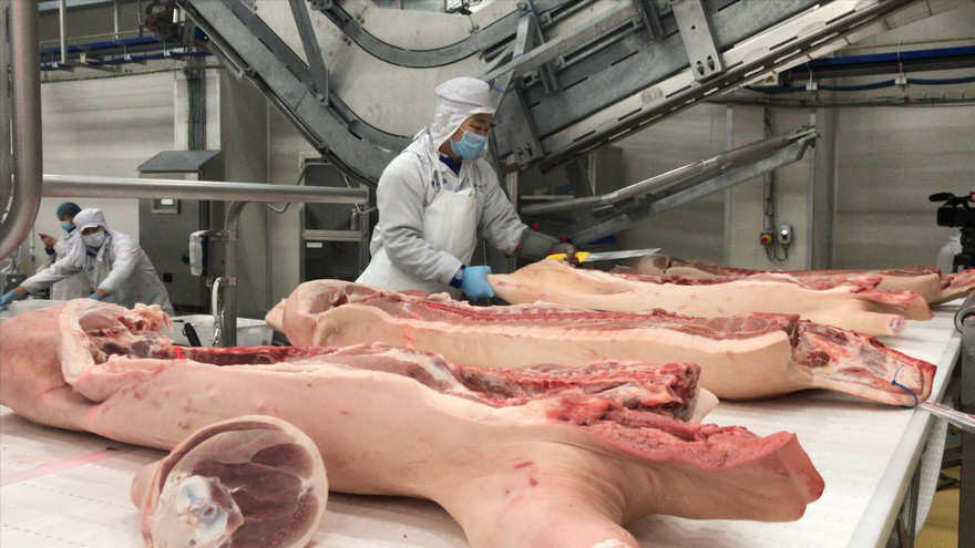 Nhiều doanh nghiệp đã có kế hoạch nhập thịt lợn để bù đắp thiếu hụt. Ảnh: Bình Phương 