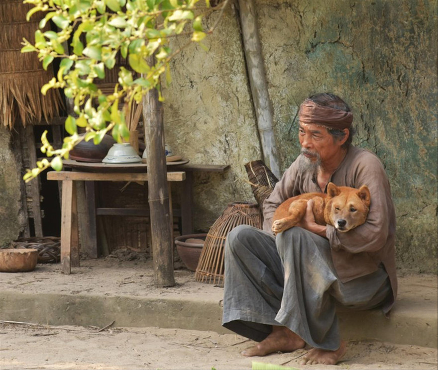 Nhân vật lão Hạc trong Cậu Vàng bị cho là đẫy đà một cách vô lý so với hoàn cảnh 