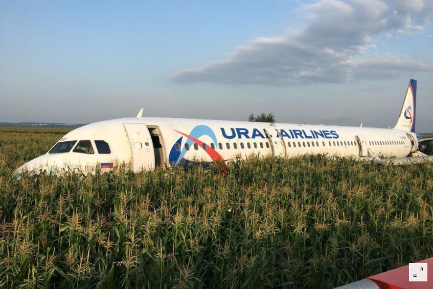 Chiếc máy bay đã hạ cánh xuống đồng ngô an toàn Ảnh: Reuters 