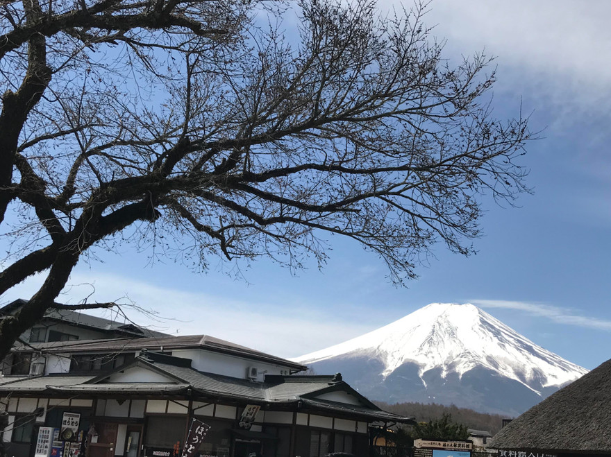 Phong cảnh tuyệt vời quanh ngọn núi Phú Sĩ. Ảnh: Lê Xuân Sơn
