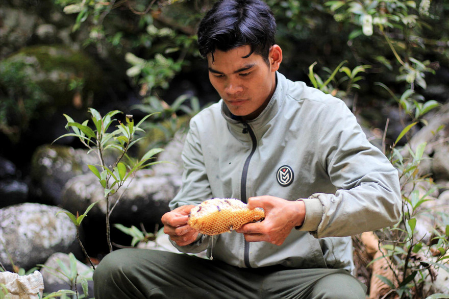 'Bí kíp' lấy mật ong rừng của người Ba Na