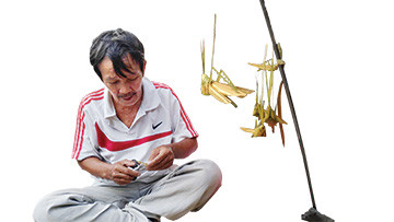 Cào cào lá dừa, lá tre nhún nhảy trên đường phố Sài Gòn mặc dòng người ngược xuôi.