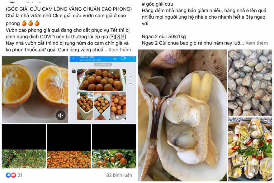 Chợ mạng hô hào giải cứu thực phẩm