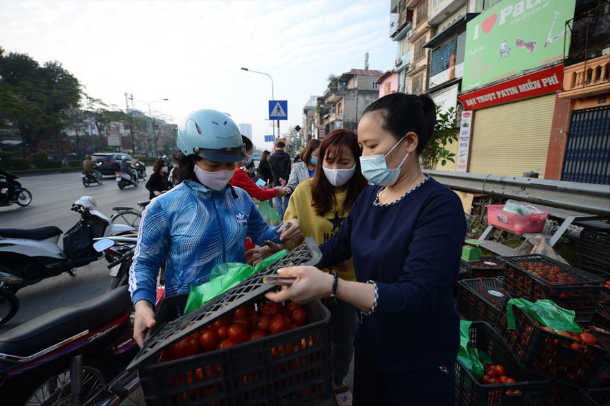 Người dân Hà Nội giải cứu nông sản Hải DươngẢnh: Duy Phạm 