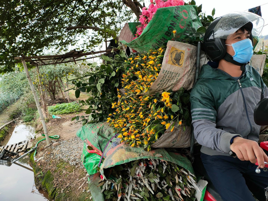 Người dân tìm đủ cách tiêu thụ hoa 