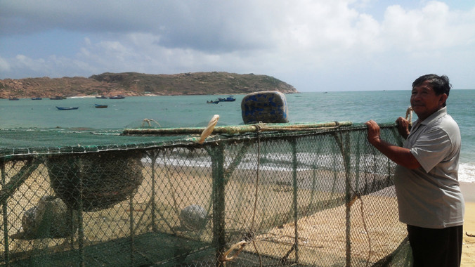 Người dân xã Nhơn Hải đang lao đao vì tôm hùm rớt giá