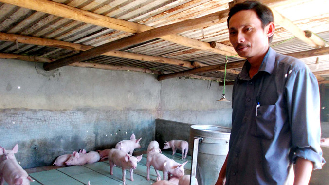 Anh Kiều Văn Phẩm và mô hình chuồng heo lát gạch men hiệu quả. Ảnh: Nguyễn Trang
