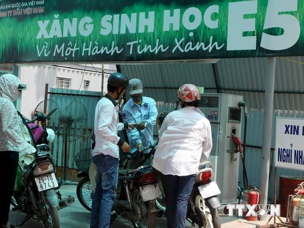 Triển khai phân phối xăng E5 tại tất cả cửa hàng bán lẻ xăng dầu