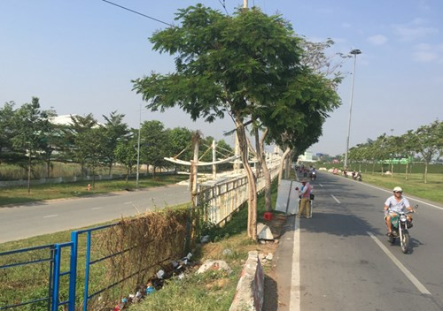 Tuyến đường bên trong khuôn viên Khu công nghệ cao TPHCM, nơi xảy ra vụ việc. Ảnh: Dân Trí