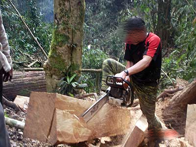 Bị còng, con trai phó chủ tịch xã chạy gần 20km tẩu thoát