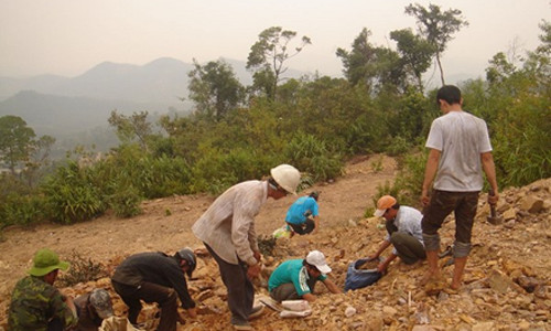 Trên bãi vàng Bồng Miêu. Ảnh: Dân Trí