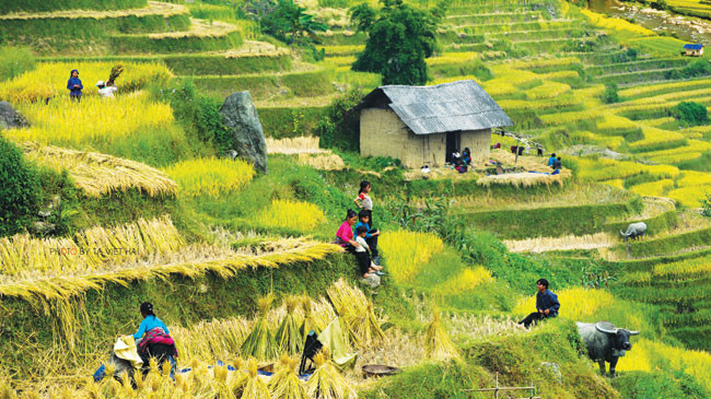 Ảnh trong bài: Tạ Việt Hải - Minh Khôi