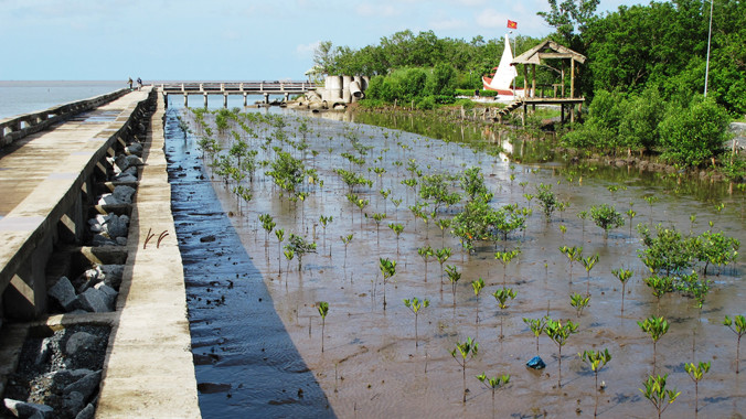 Kè ngầm tạo bãi bảo vệ Mũi Cà Mau.
