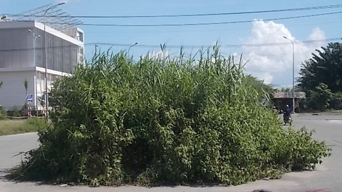 Đường vào Khu Di tích lịch sử Căn cứ Vườn Mận.