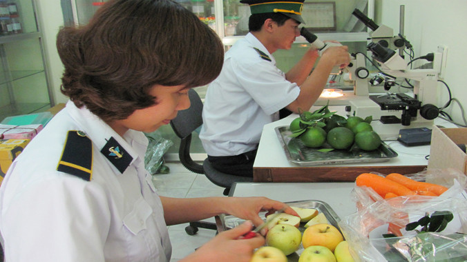 Trang thiết bị kiểm nghiệm ở cửa khẩu Tân Thanh chưa đáp ứng được nhu cầu. Ảnh: Duy Chiến