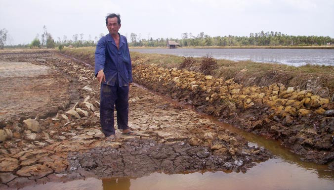 Một cánh đồng khô hạn tại vùng U Minh Thượng. 