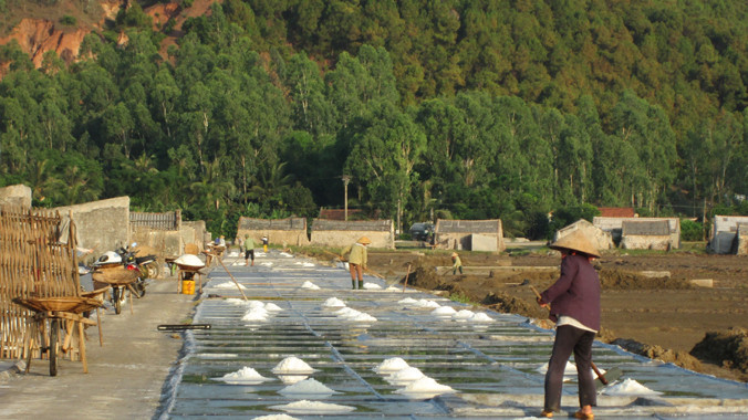 Diêm dân đang ngày càng ít mặn mà với nghề làm muối truyền thống.