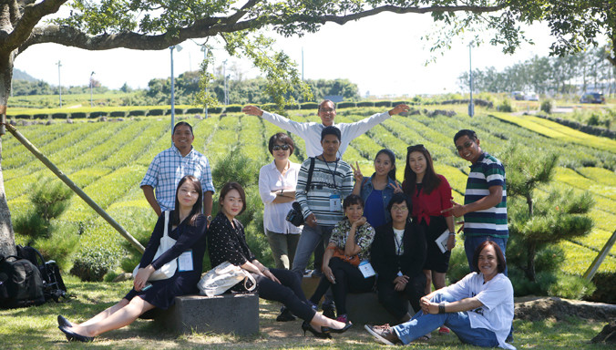 Đồi chè ở Jeju hút khách du lịch.