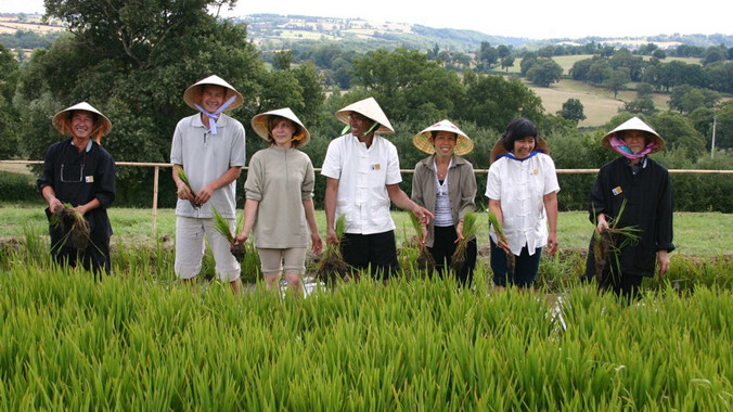 Những người Pháp gốc Việt trên cánh đồng Noyant d’AllierẢnh: TH