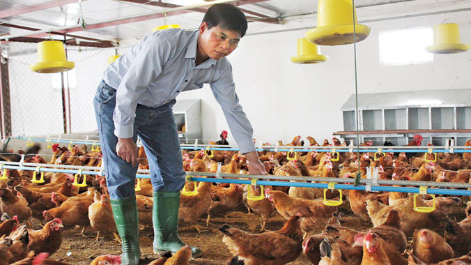 Nguồn vốn của Agribank tạo điều kiện cho các hộ nông dân vươn lên làm giàu.