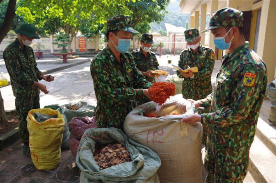 Biên phòng Chi Ma liên tiếp bắt giữ thuốc bắc nhập lậu Ảnh: Duy Chiến 