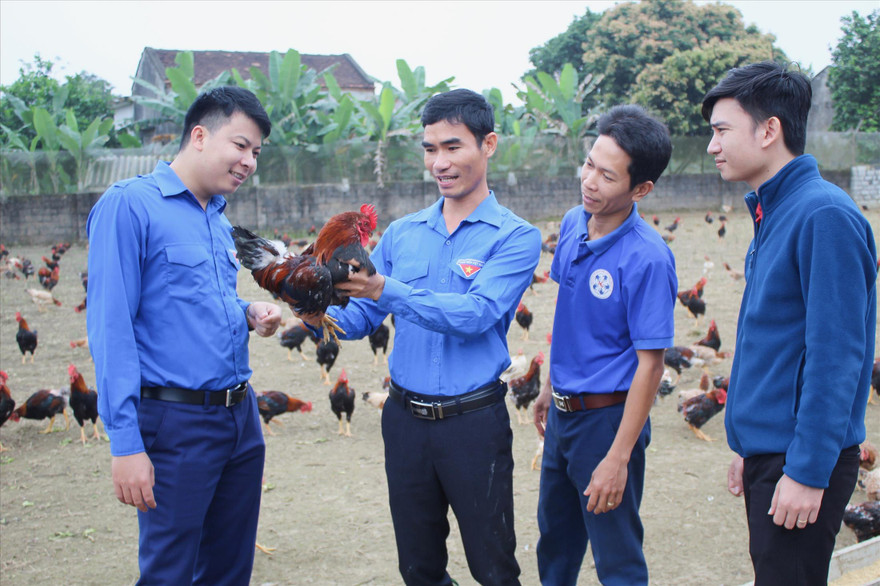 Anh Quách Văn Bộ (thứ 2 từ trái qua) tại trang trại của gia đình