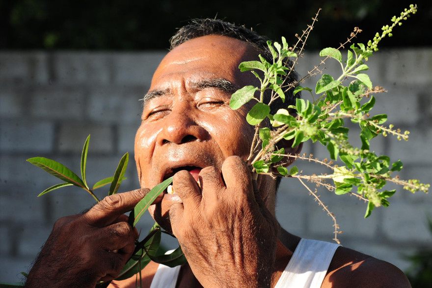 “Dị nhân lưỡi đen” Chau Ponl và những cây ngải chữa nọc rắn gia truyền