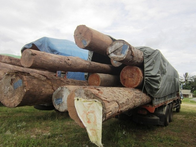 Nhiều xe chở gấp 4 lần tải trọng cho phép.