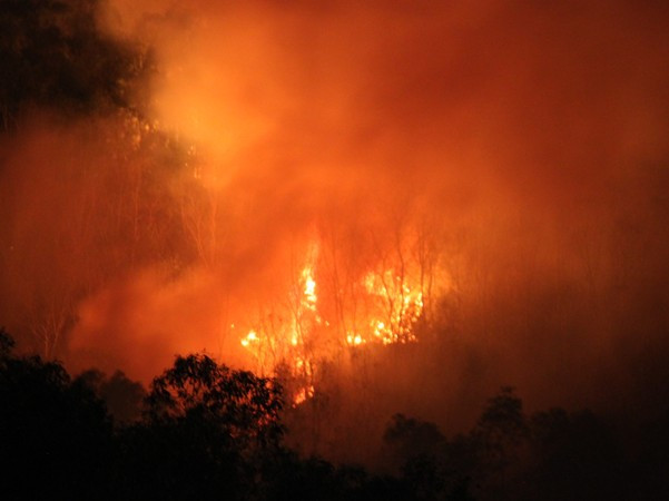 Đám cháy từ khoảng 9 giờ sáng 9/8 cháy đến 3 giờ sáng 10/8 mới được khống chế