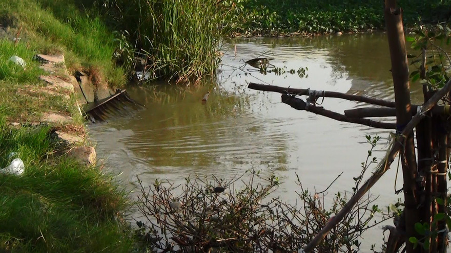 Khu vực nạn nhân bị mất tích