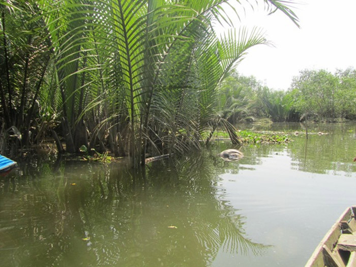 Hiện trường vụ việc