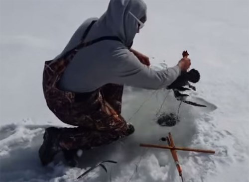Fred kéo từ trong băng lên một con vịt - Ảnh cắt ra từ YouTube