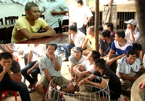 Phạm Tiến Dũng (ảnh nhỏ) cùng các con bạc bị công an bắt giữ tại trường gà. Ảnh: Lê Dương/ VnExpress