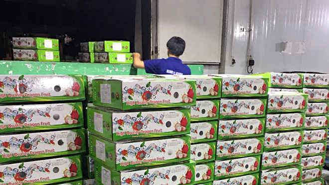 Nông sản của T&T Group được kiểm tra ngay tại chỗ trước khi xuất đi sang Mỹ