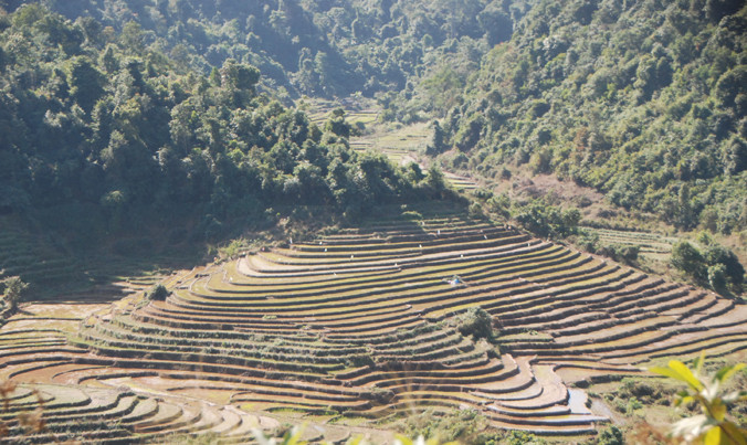 Ruộng bậc thang ở Mường Tè