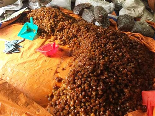 TPHCM: Thu giữ hơn 10 tấn mứt 'bẩn' ruồi bâu đầy