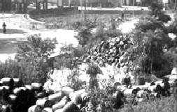 Thùng phuy la liệt trên đê