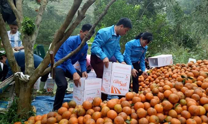 Khi cán bộ Đoàn giải cứu nông sản