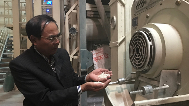 Ông Lý Thái Hưng, Giám đốc Cty TNHH Hưng Cúc trăn trở về vùng nguyên liệu để xây dựng thương hiệu gạo cho Thái Bình. Ảnh: Bình Phương