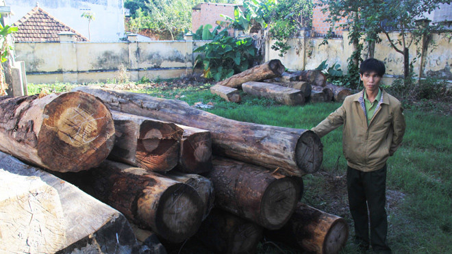 Gỗ lậu được đưa về Hạt Kiểm lâm thành phố Kon Tum