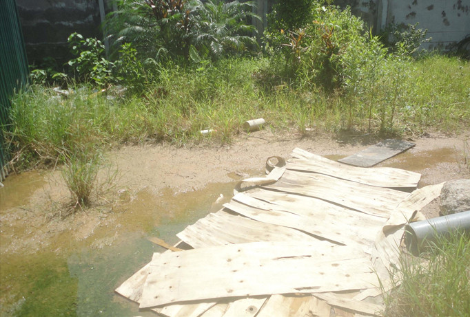 Nỗi lo dịch bệnh từ khu đất để không