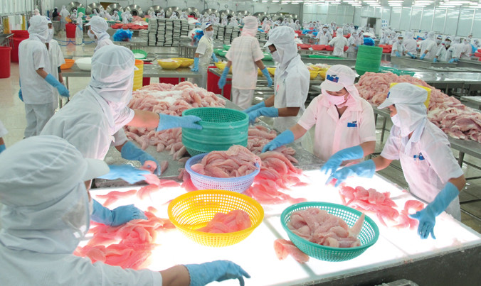 Quy định về tỷ lệ mạ băng - hàm lượng ẩm của cá tra xuất khẩu không vượt quá 10% trong Nghị định 36, do Bộ NN&PTNT chủ trì xây dựng, bị xếp vào một trong số những quy định tồi nhất. Ảnh: Bình Phương